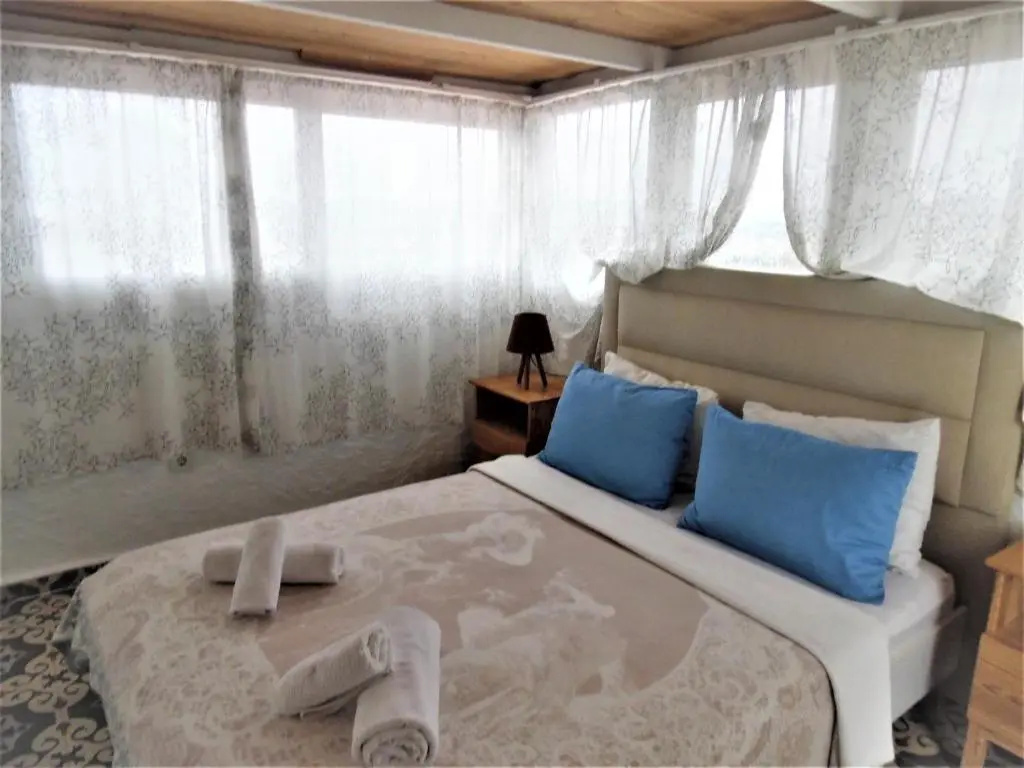 Standard Double room with mountain view (full double bed)