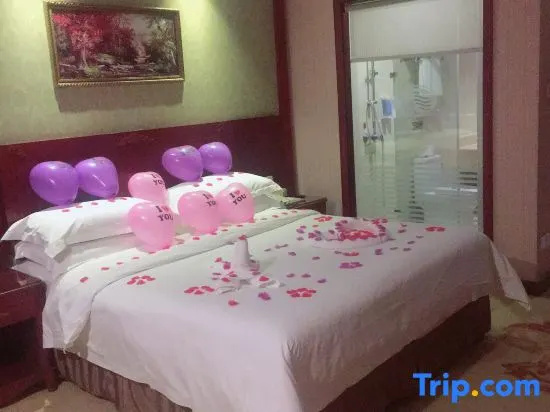 Vienna Hotel Shanghai Hongqiao Hub Jiading New City - Chambres