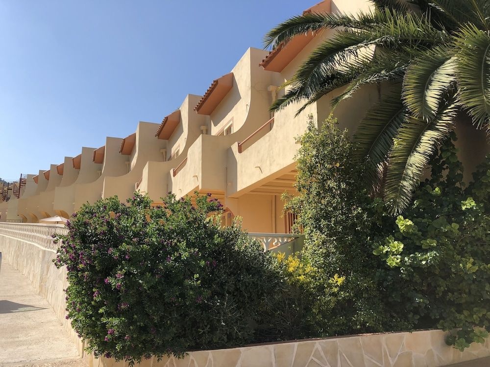 Albir Up Paradise