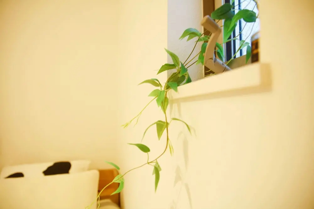 Ikebukuro House 사진 19