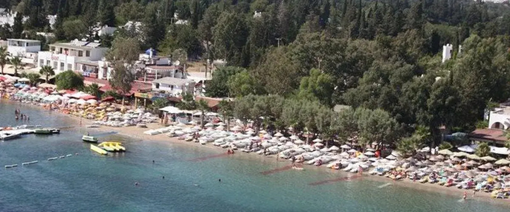 Okaliptus Hotel - Général