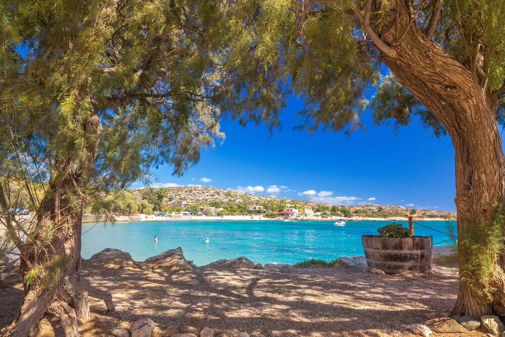 Beach & Waterfront