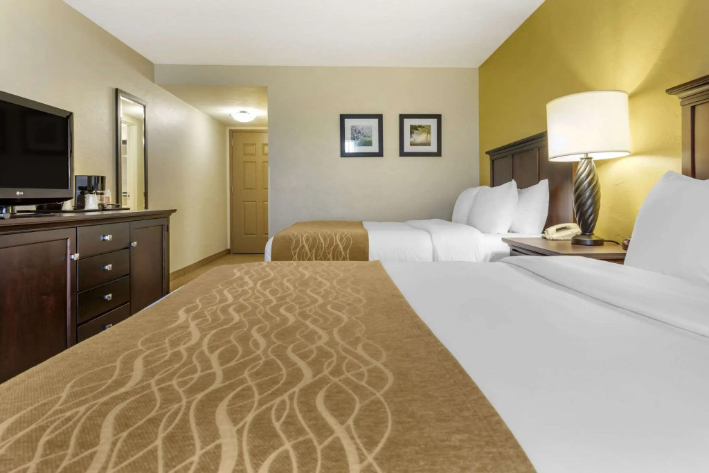 Comfort Inn & Suites Dover - Chambres