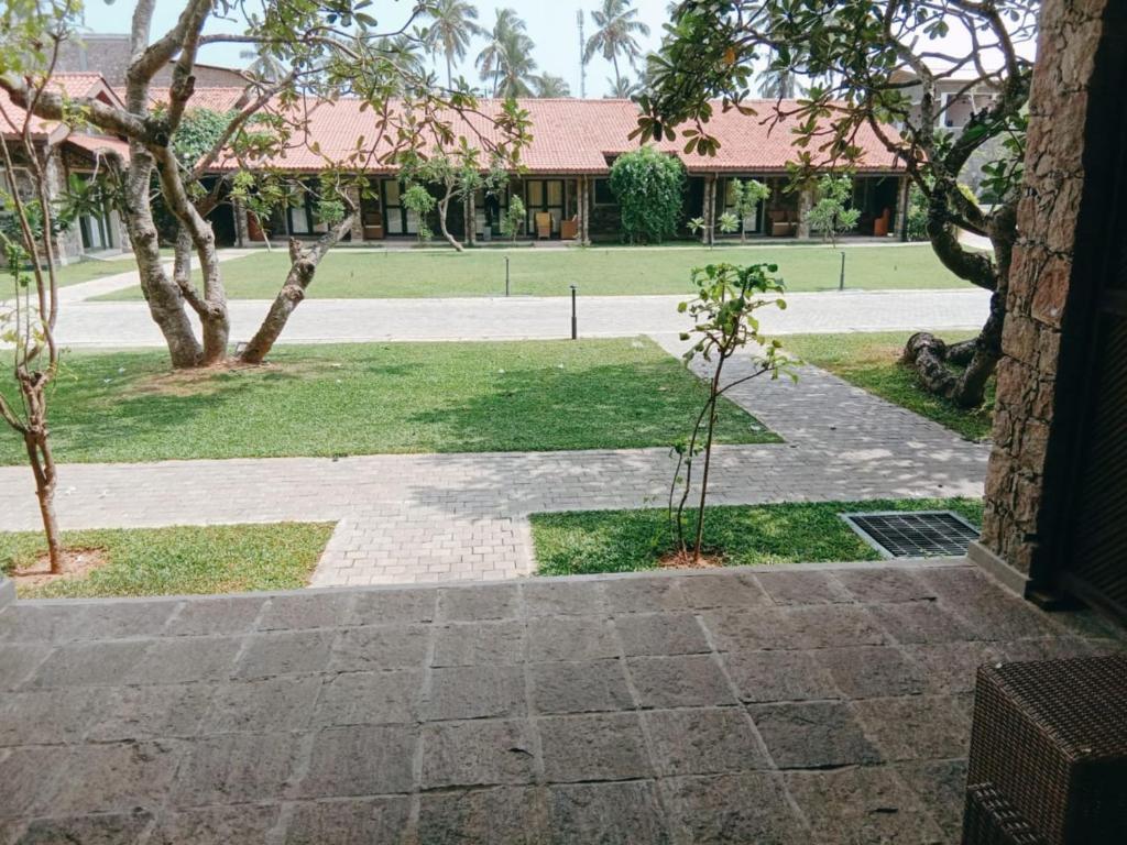 Arie Lagoon