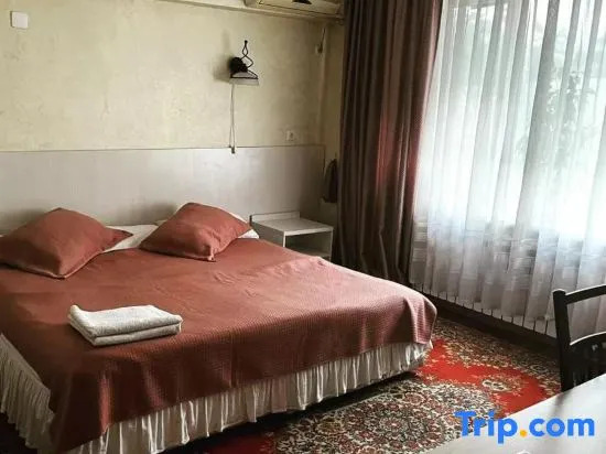 Люкс в Hotel Berkana