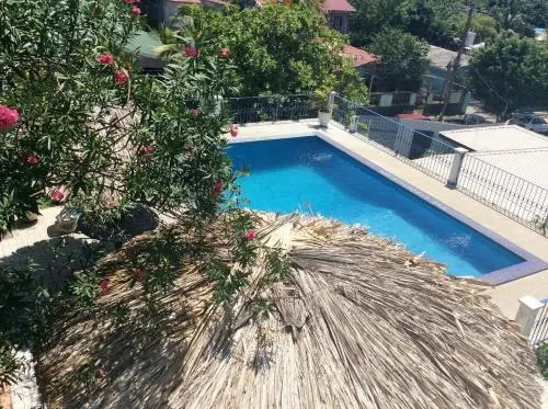 The Executive Inn - Général