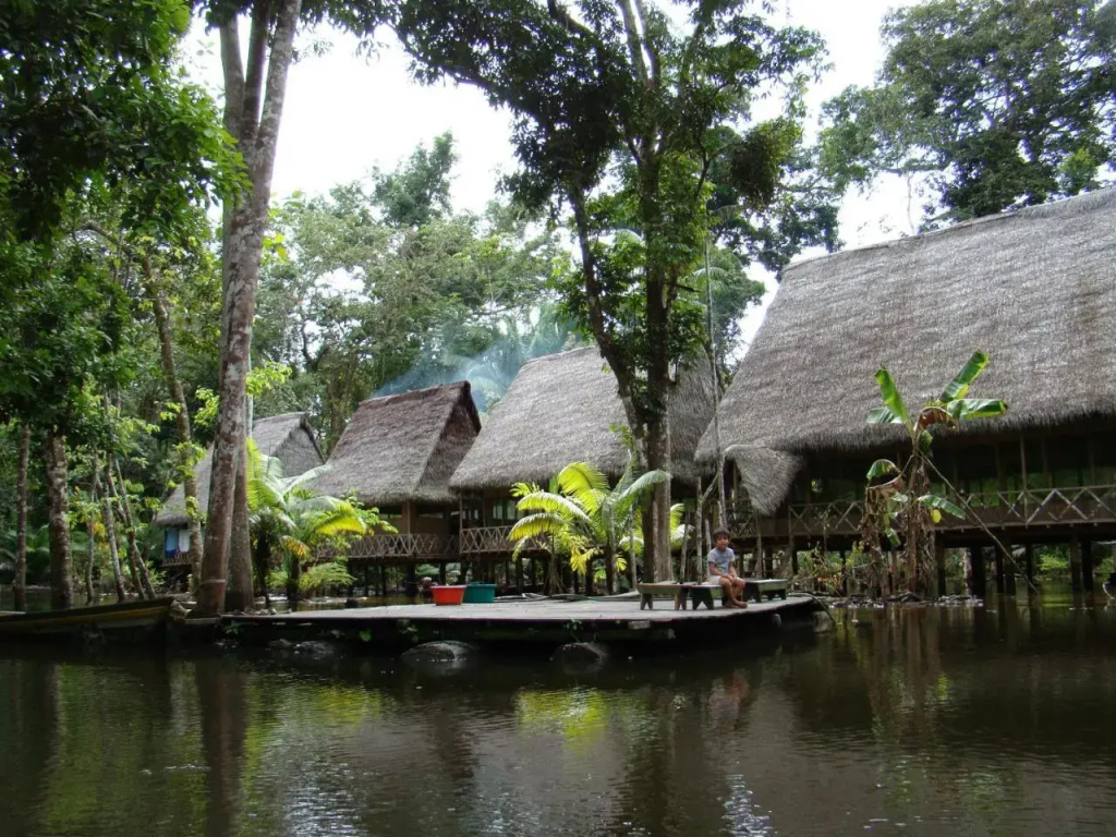 Lodge Jungle Wolf Expeditions