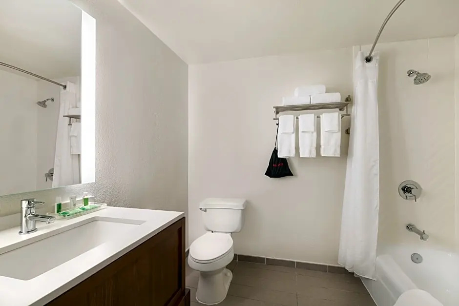 Holiday Inn Houston Intercontinental Airport by IHG - Chambres
