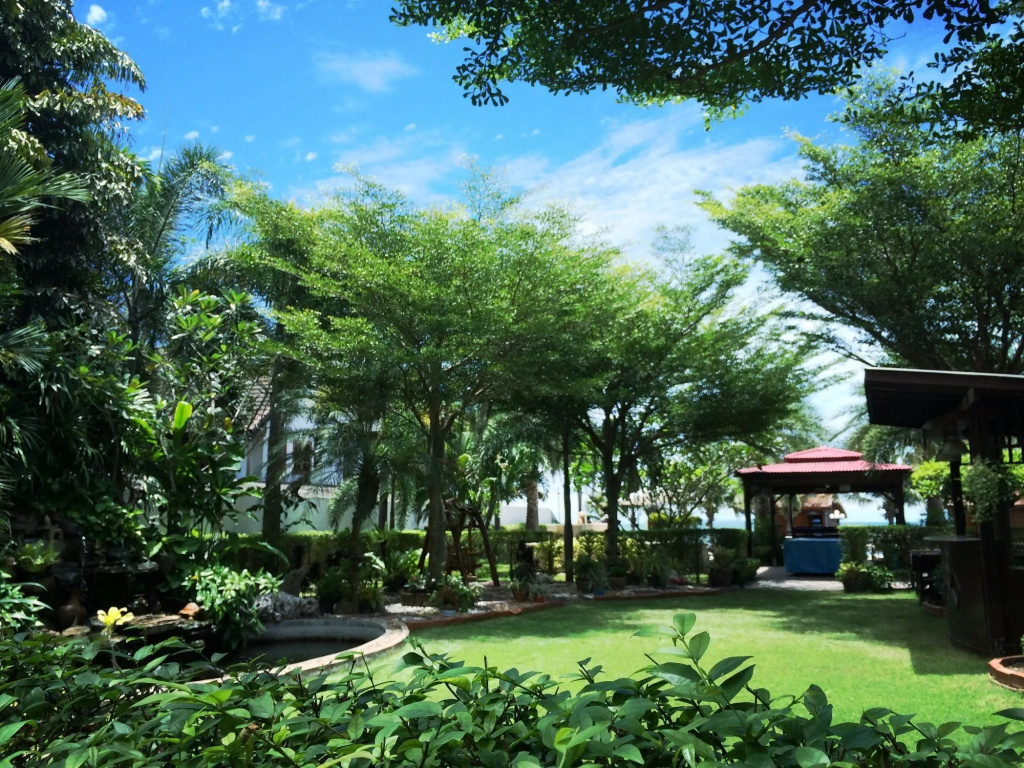 Serene Sands Health Resort - Général