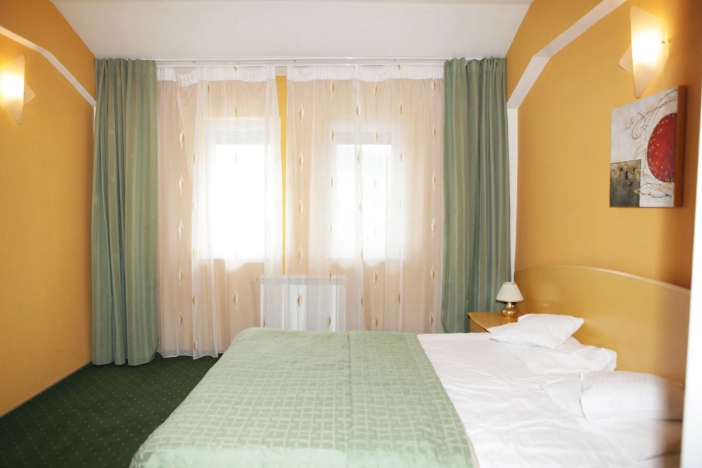 Eurohotel Baia Mare - Général