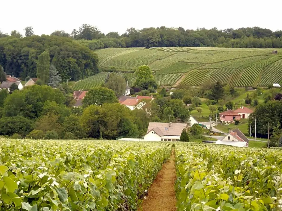 AMBIANCES chambres d 'hôtes - Général