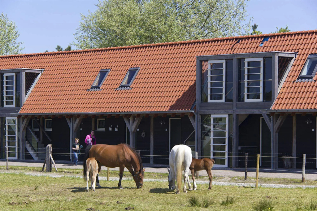 Hotel de Walvisvaarder - Général