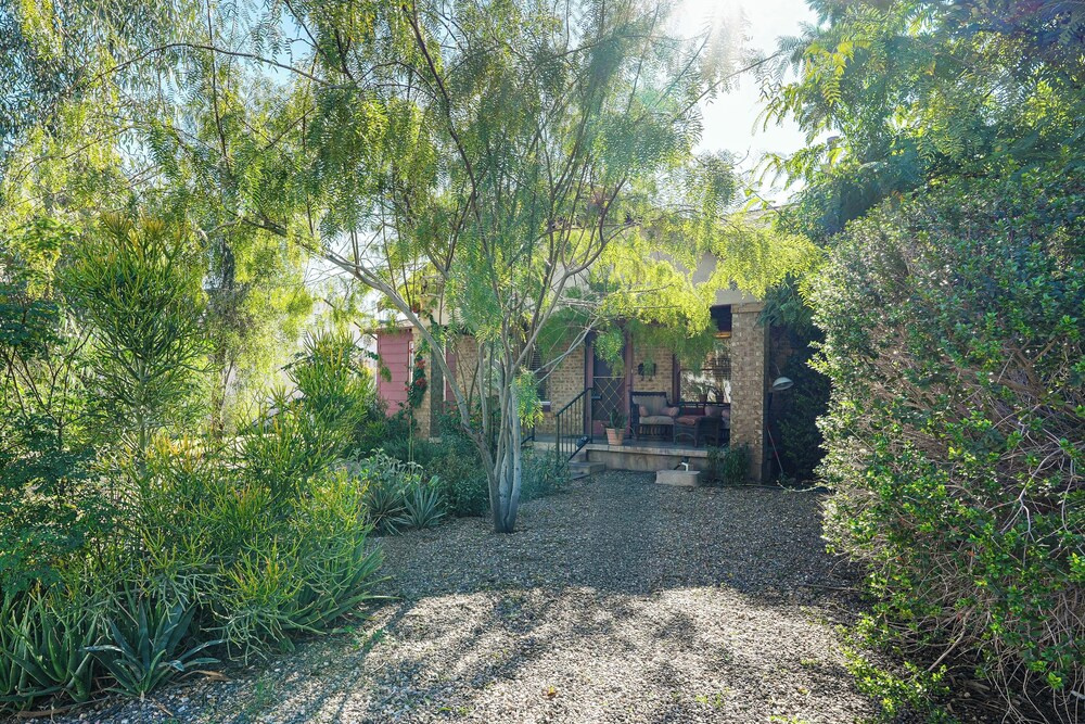 Near Restaurants + Light Rail: Phoenix Getaway!