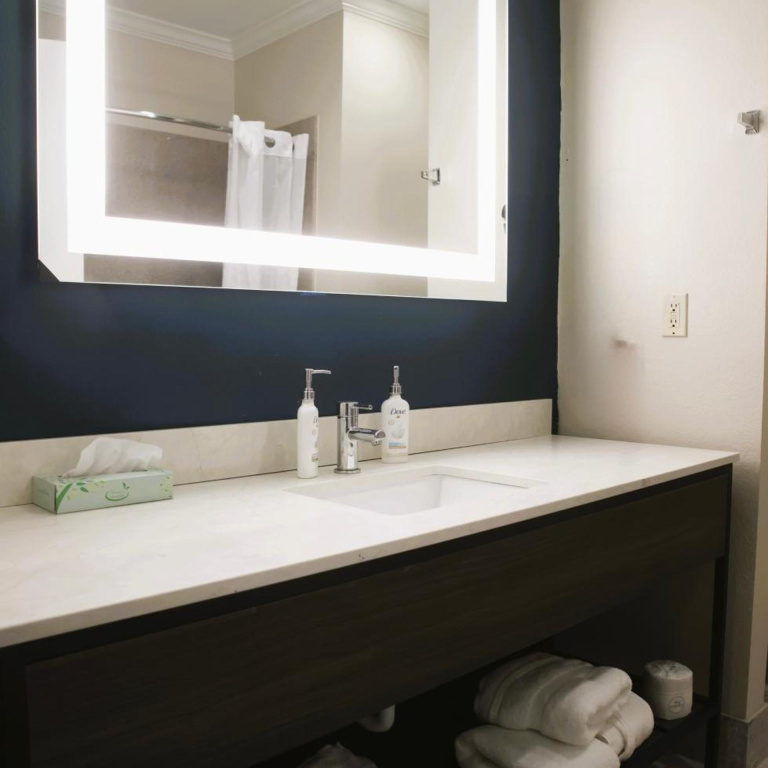 Wyndham Lake Charles Hotel - Général
