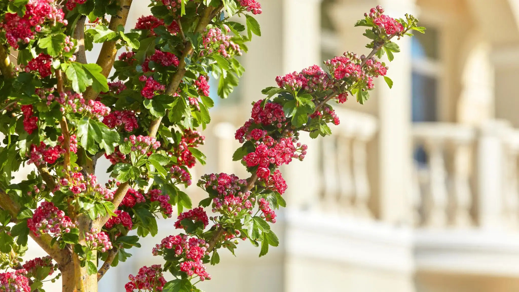 Усадьба Превысоковъ - фото 49