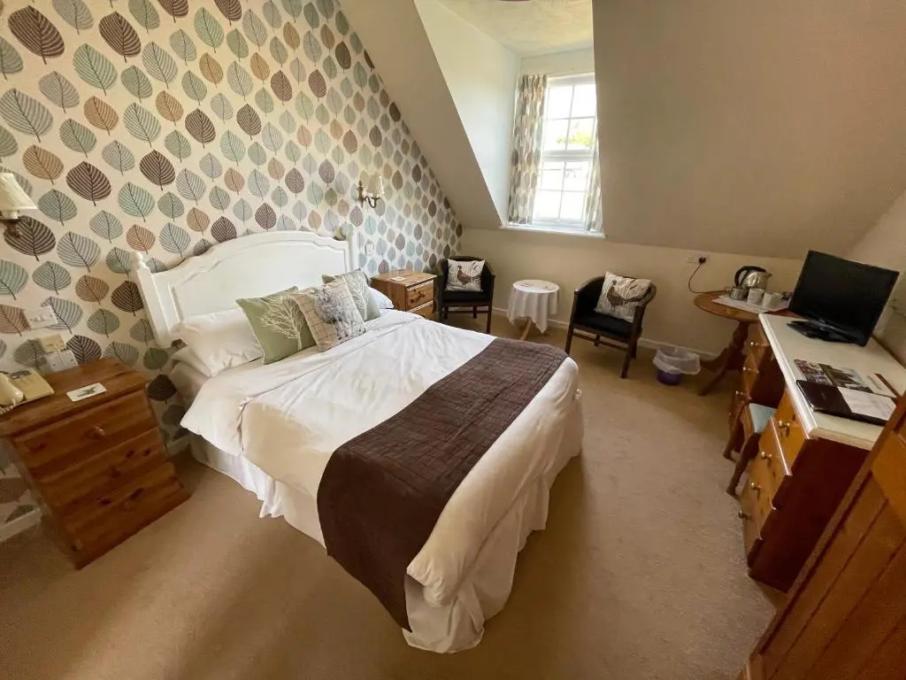 Economy room