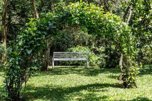 La Terraza Guest House - фото 5