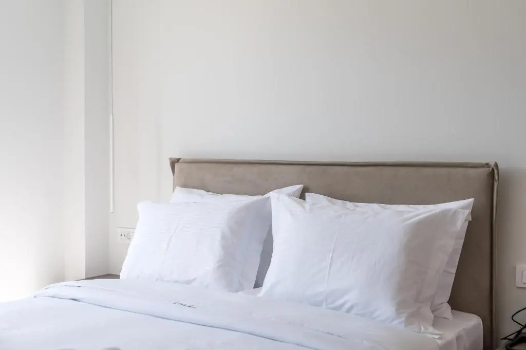 Deluxe Double Suite (full double bed)