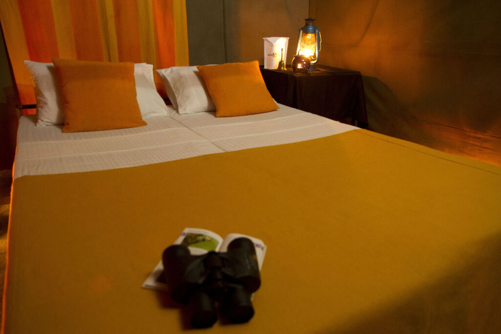 Mahoora Tented Safari Camp - Udawalawe