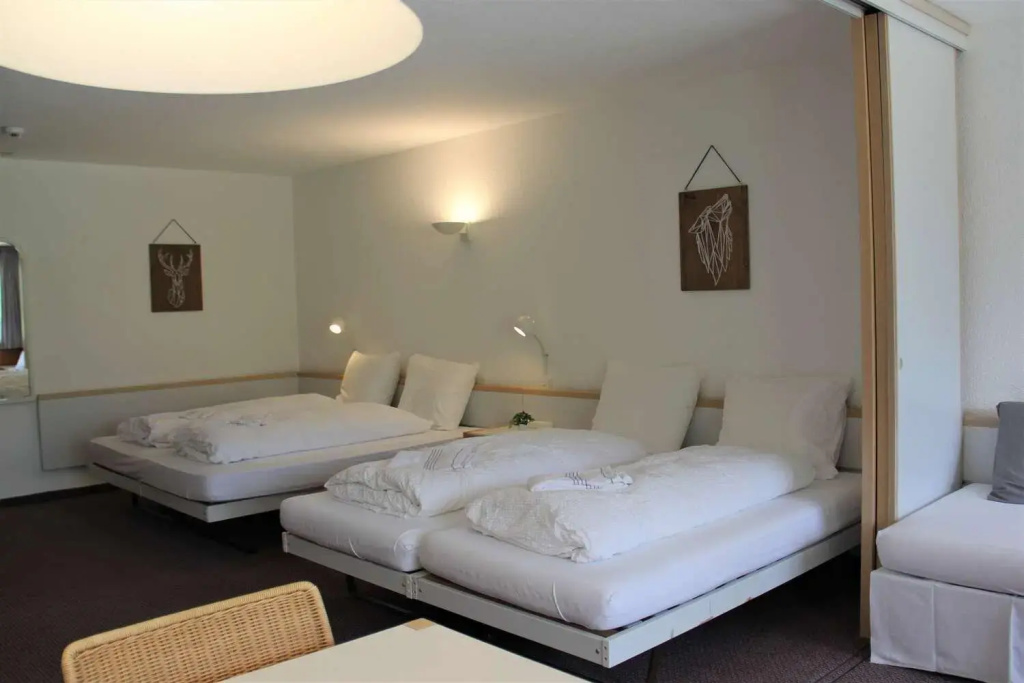 Hotel Sauvage Grindelwald - Général