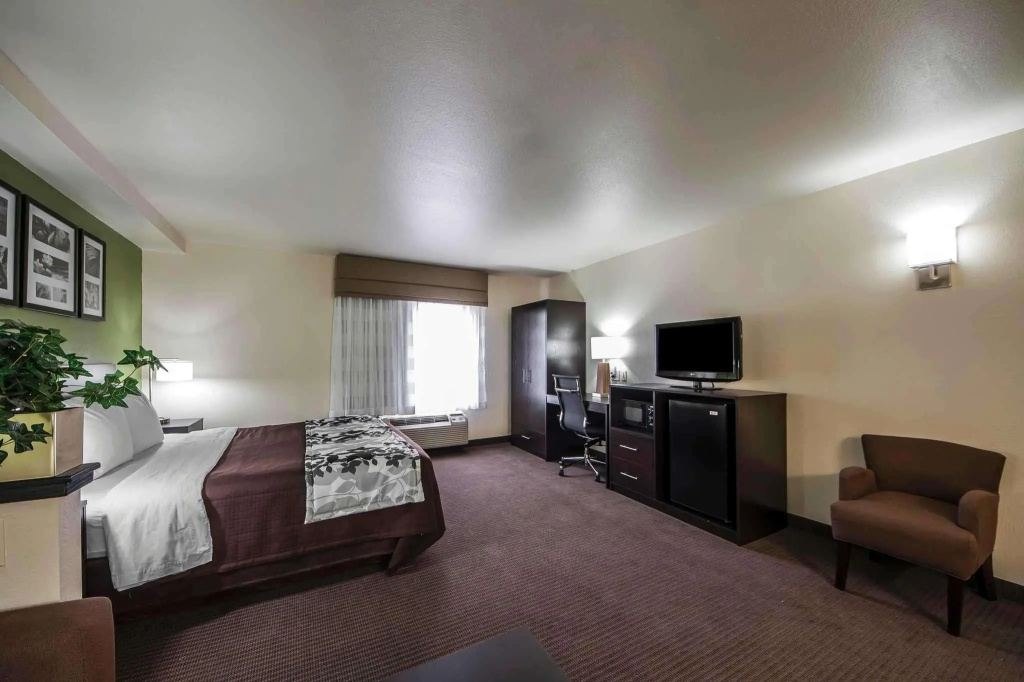 1 Bedroom Suite