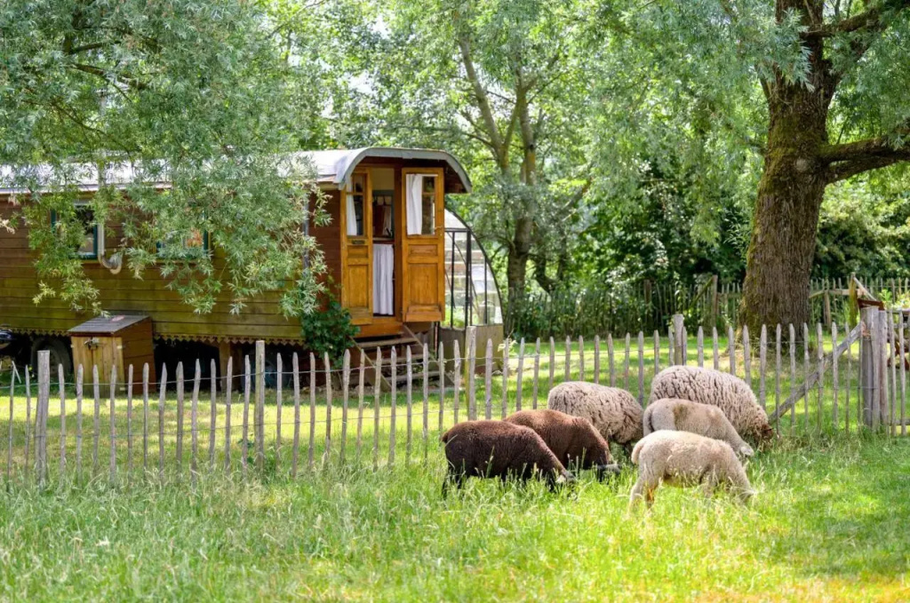 La Roulotte de la Ferme de Froidefontaine - фото 3
