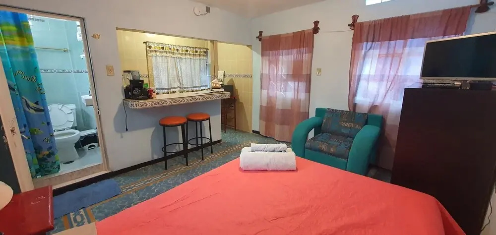 Classic Apartment