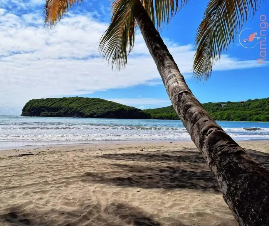 ClarenceVille Villa Apartments - фото 14