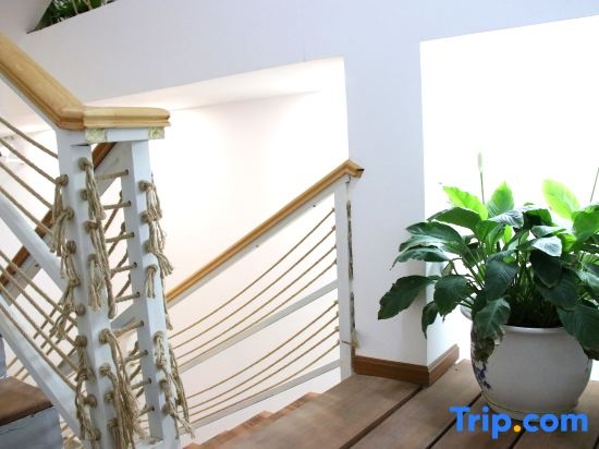 Balcony & Terrace