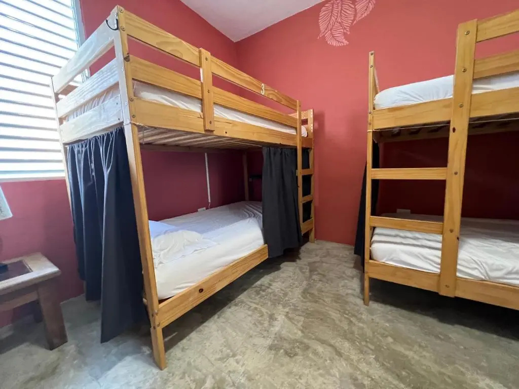 Bed in Dorm