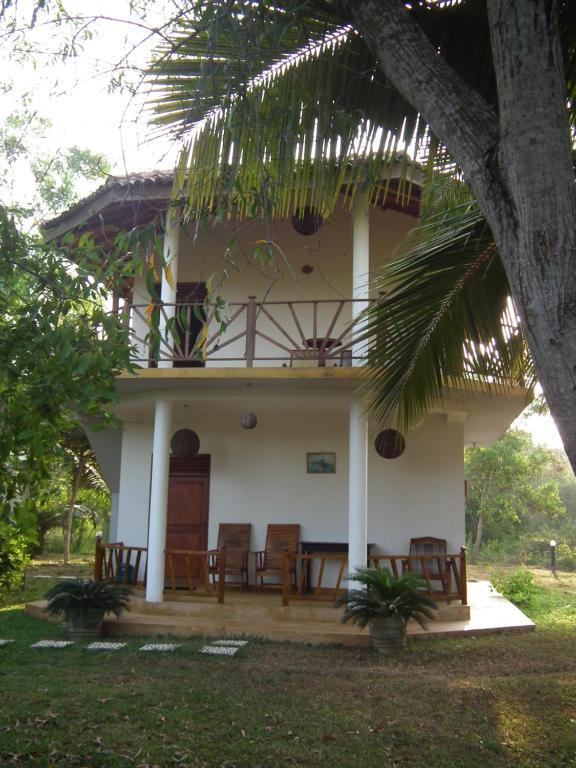 Coconut Island