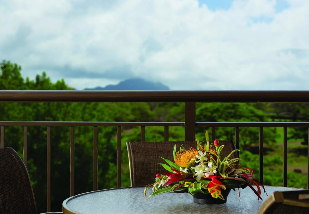 Balcony & Terrace