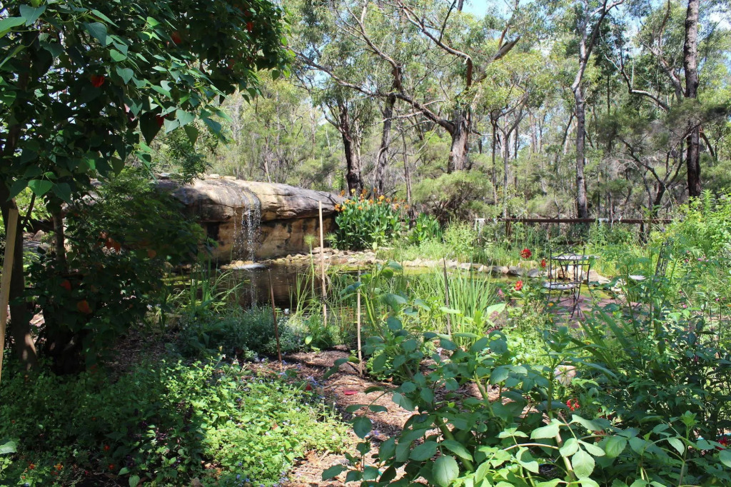 Image 10