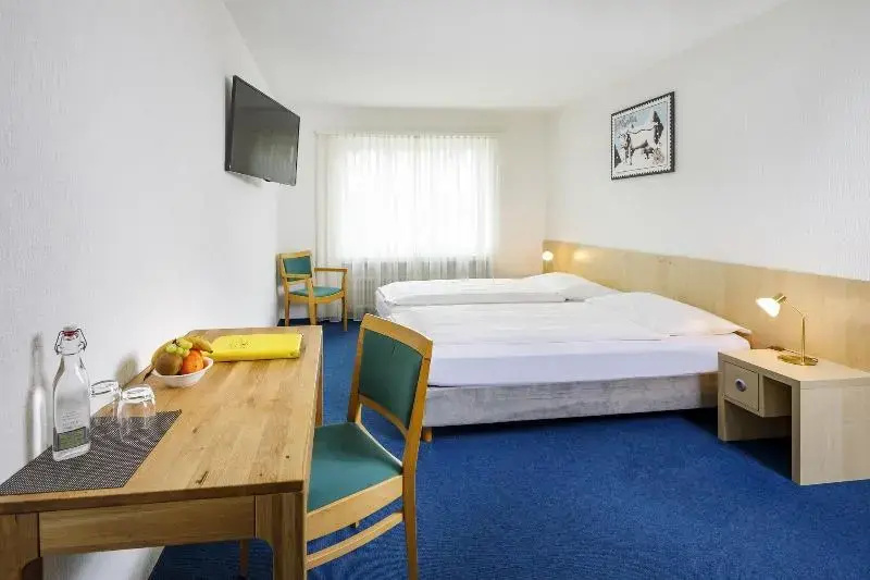 Comfort Double room (twin beds)