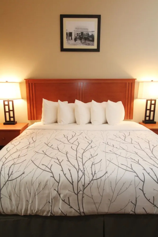 Bowman Lodge & Convention Center - Chambres