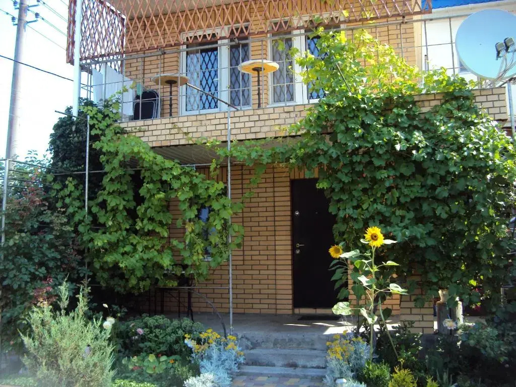 Druzhba 598