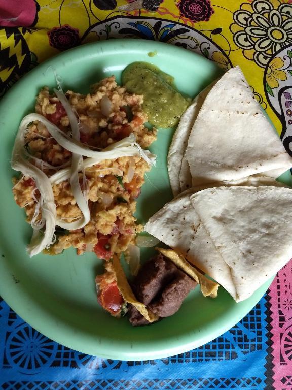 Iguana Hostel Oaxaca by null