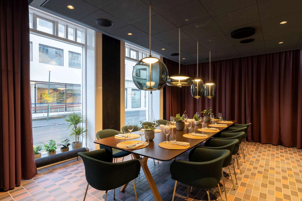 Radisson Blu 1919 Hotel, Reykjavik - Général