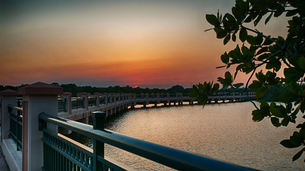 Beach & Waterfront