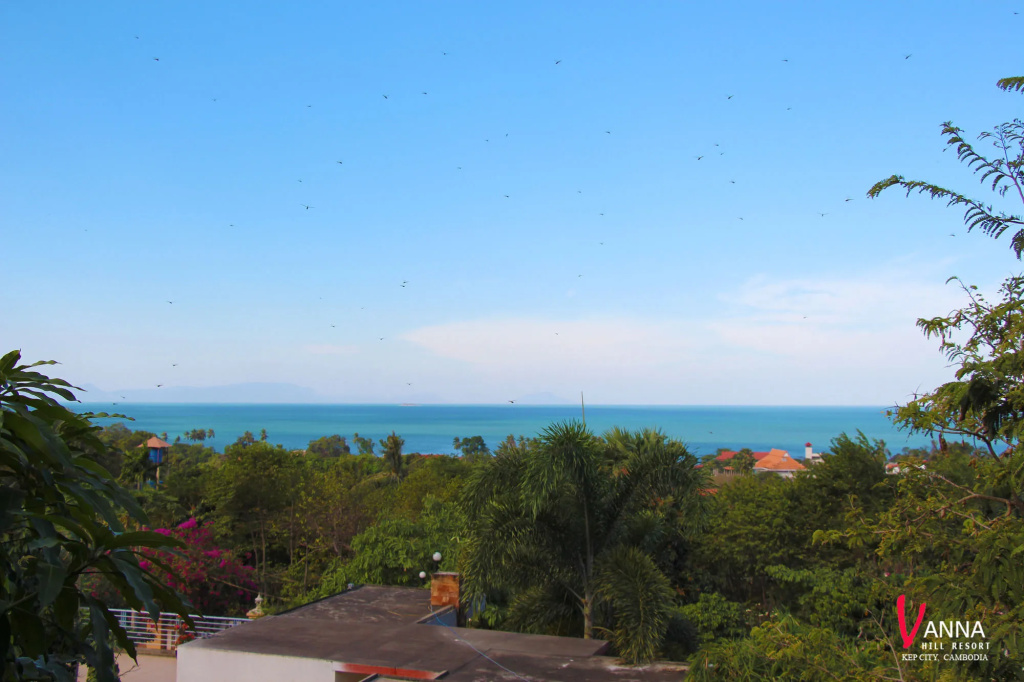 Beach & Waterfront