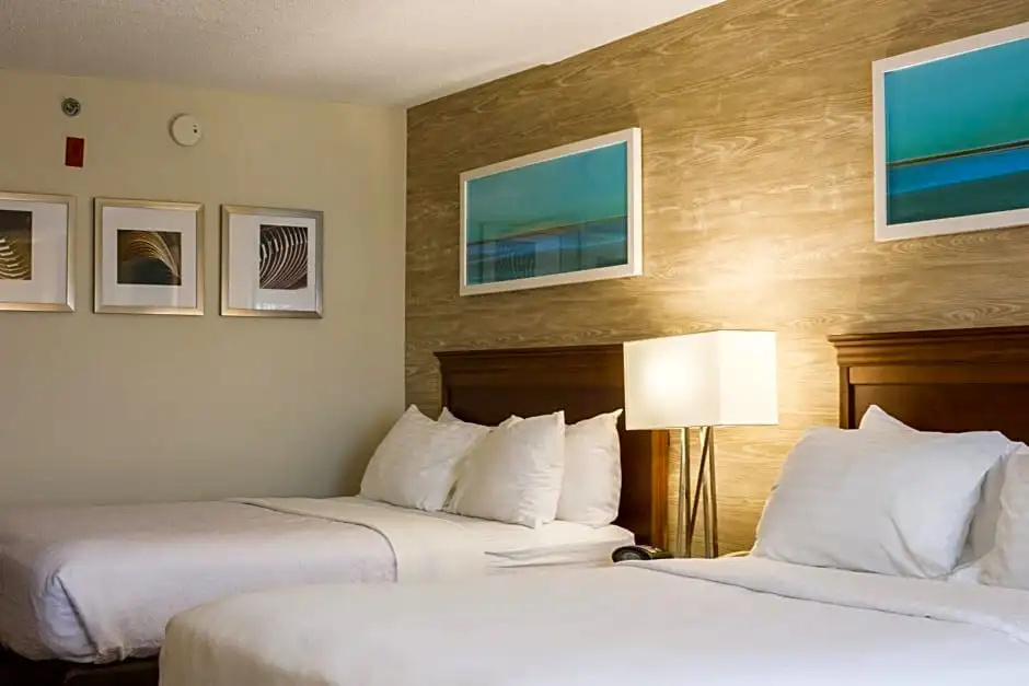 Holiday Inn & Suites Bolingbrook by IHG - Chambres
