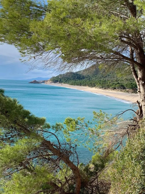 Beach & Waterfront