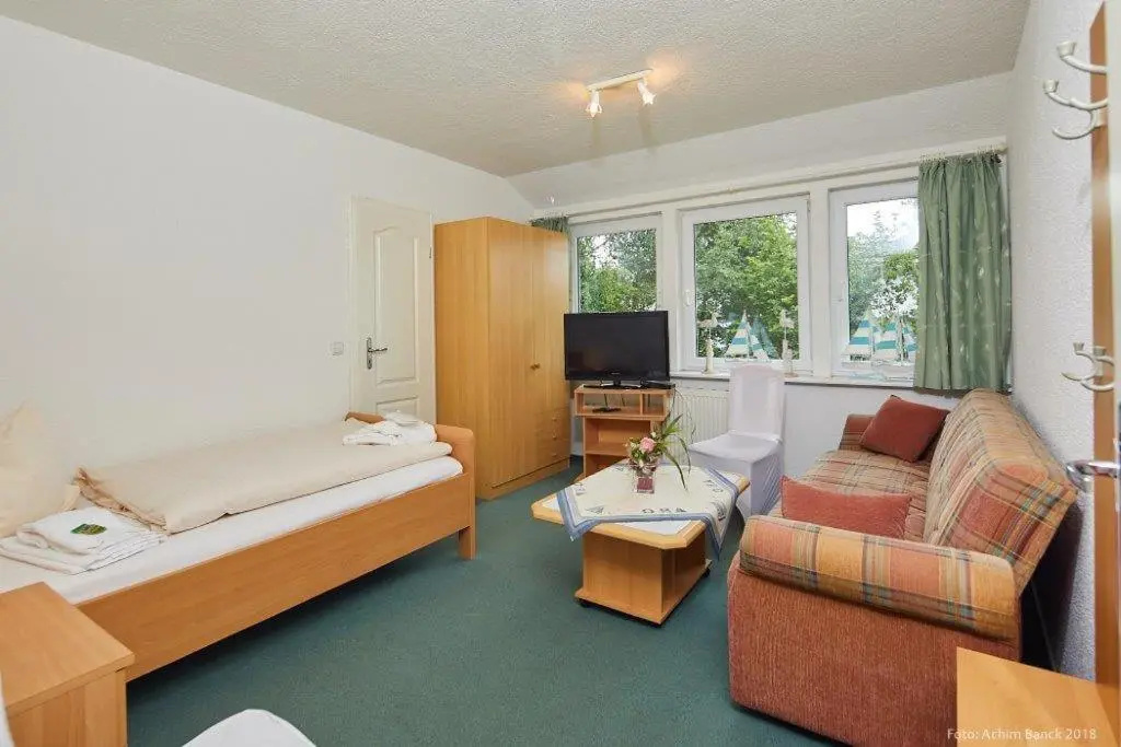 Standard Double room (full double bed)