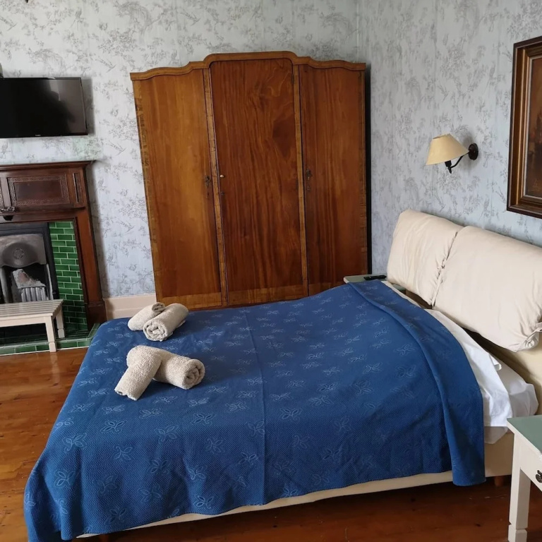 Deluxe Double room (twin beds)