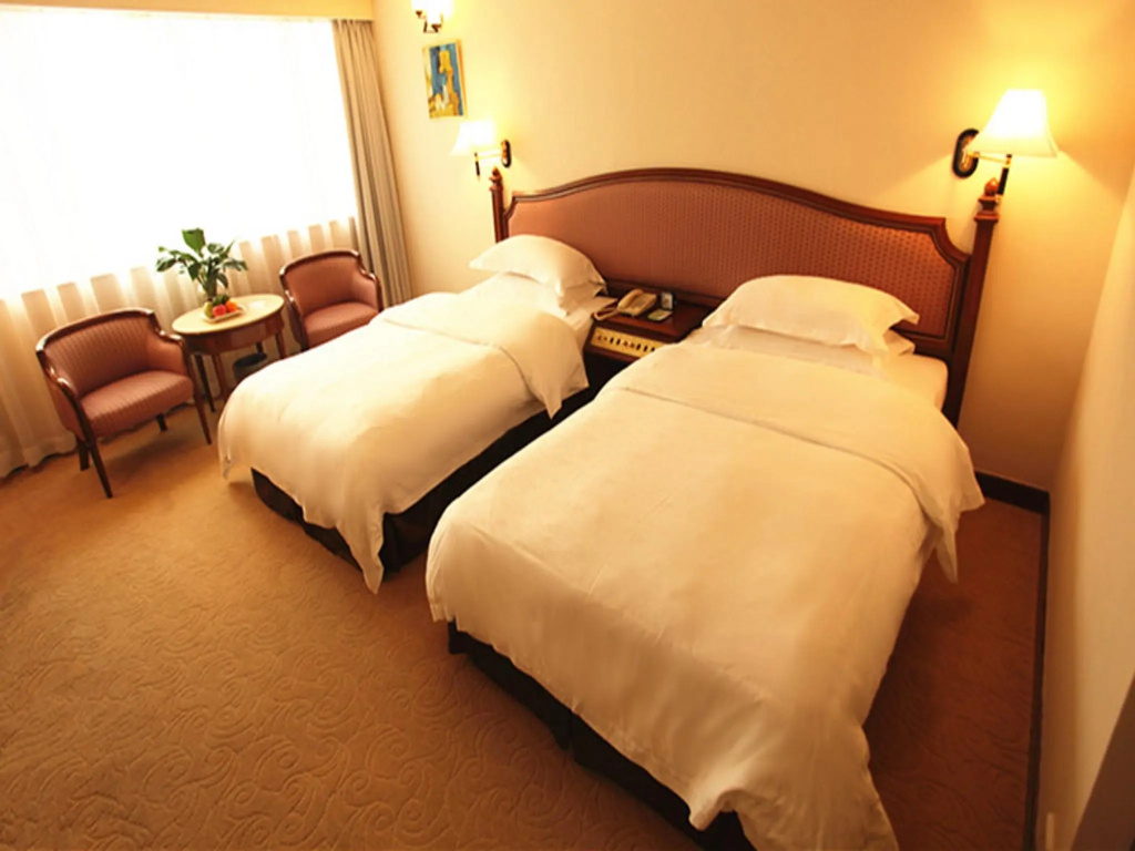 Standard Double room (twin beds)