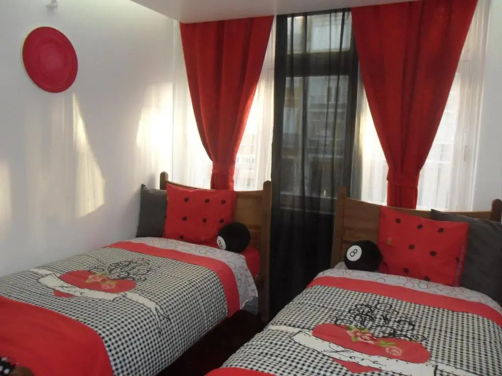 Standard Double room with city view (twin beds)