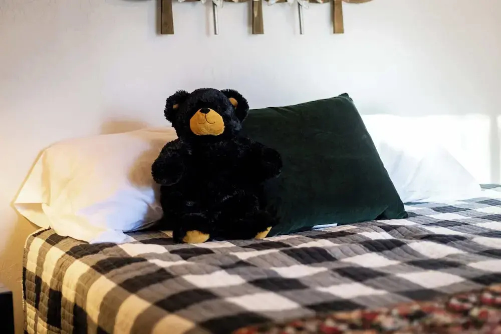 Hotel photo 20