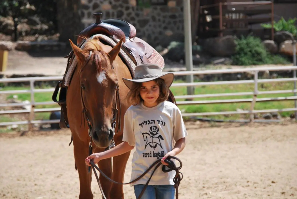 Vered Hagalil Holiday Village - Général