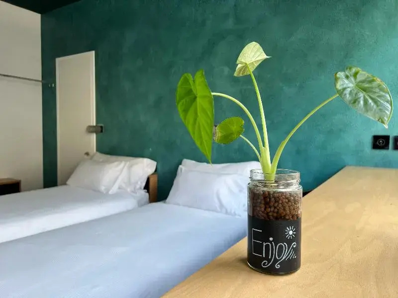 Standard Quadruple room with mountain view