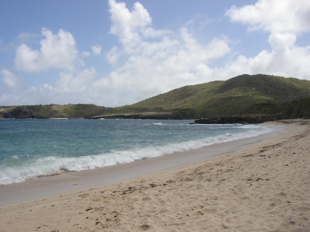 Beach & Waterfront